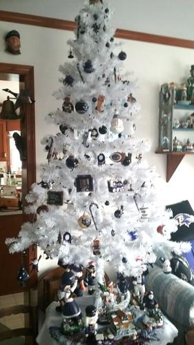 Ron Wells Fenwick Island, Ravens Tree