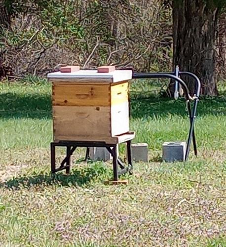 Stolen bee hive