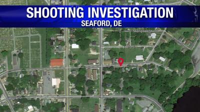 Police Investigate Shooting in Seaford