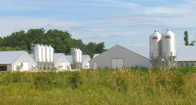 Mega Poultry Farm Planned For Princess Anne