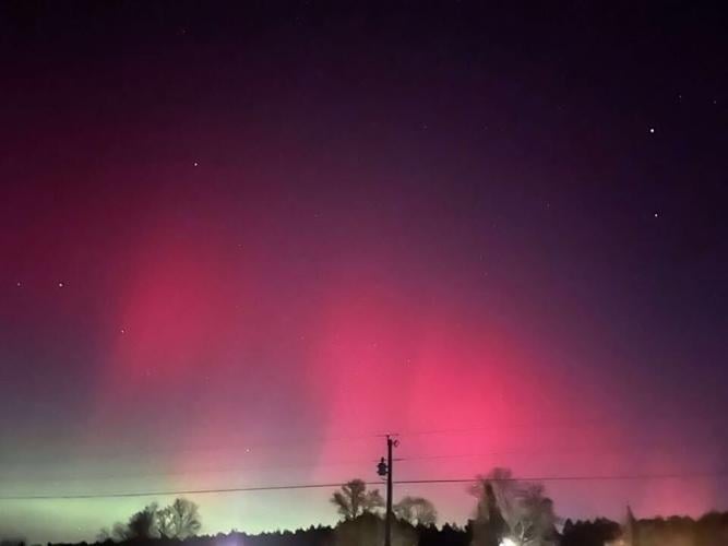 Tina Hearn Delmar MD.jpg