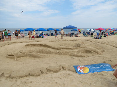36th Annual Sandcastle Contest (Photo: Beach-fun.com)