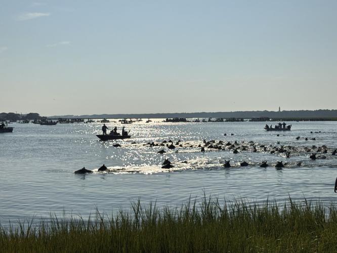 Photo Jul 30 2025, 8 10 48 AM.jpg