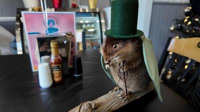 Marshall the New Year's Eve Muskrat