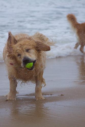 14570580_648592578647793_4016805070669454799_o