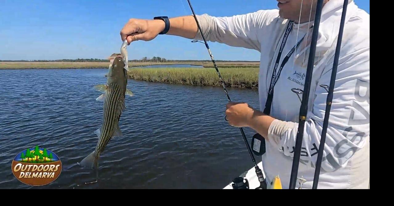 Outdoors Delmarva Fishing Special - Part 1 | Outdoors Delmarva | wboc.com