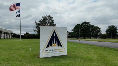 54 acre property near Mappsville