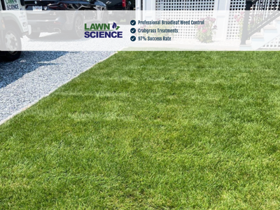 Connecticut Lawn Company Warns: Deer Ticks Are Active Now
