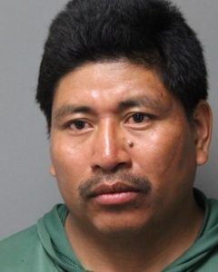 Seaford arrest warrant