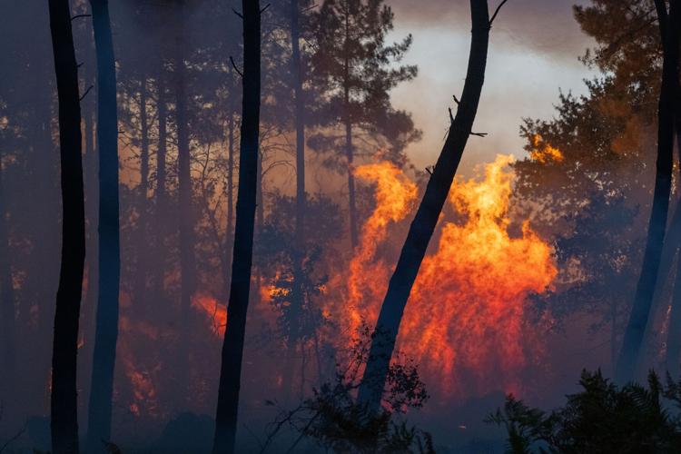Europe battles fast-moving wildfires sweeping across Spain and France, in photos