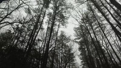 Travels With Charlie: Listen on Rainy Mornings