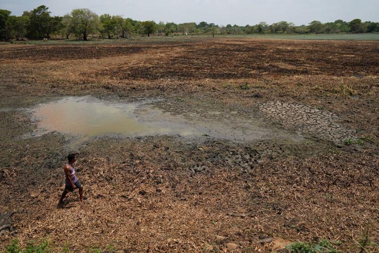 Climate Sri Lanka Drought