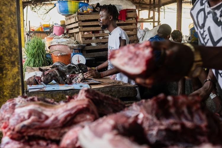 Ebola Wild Meat