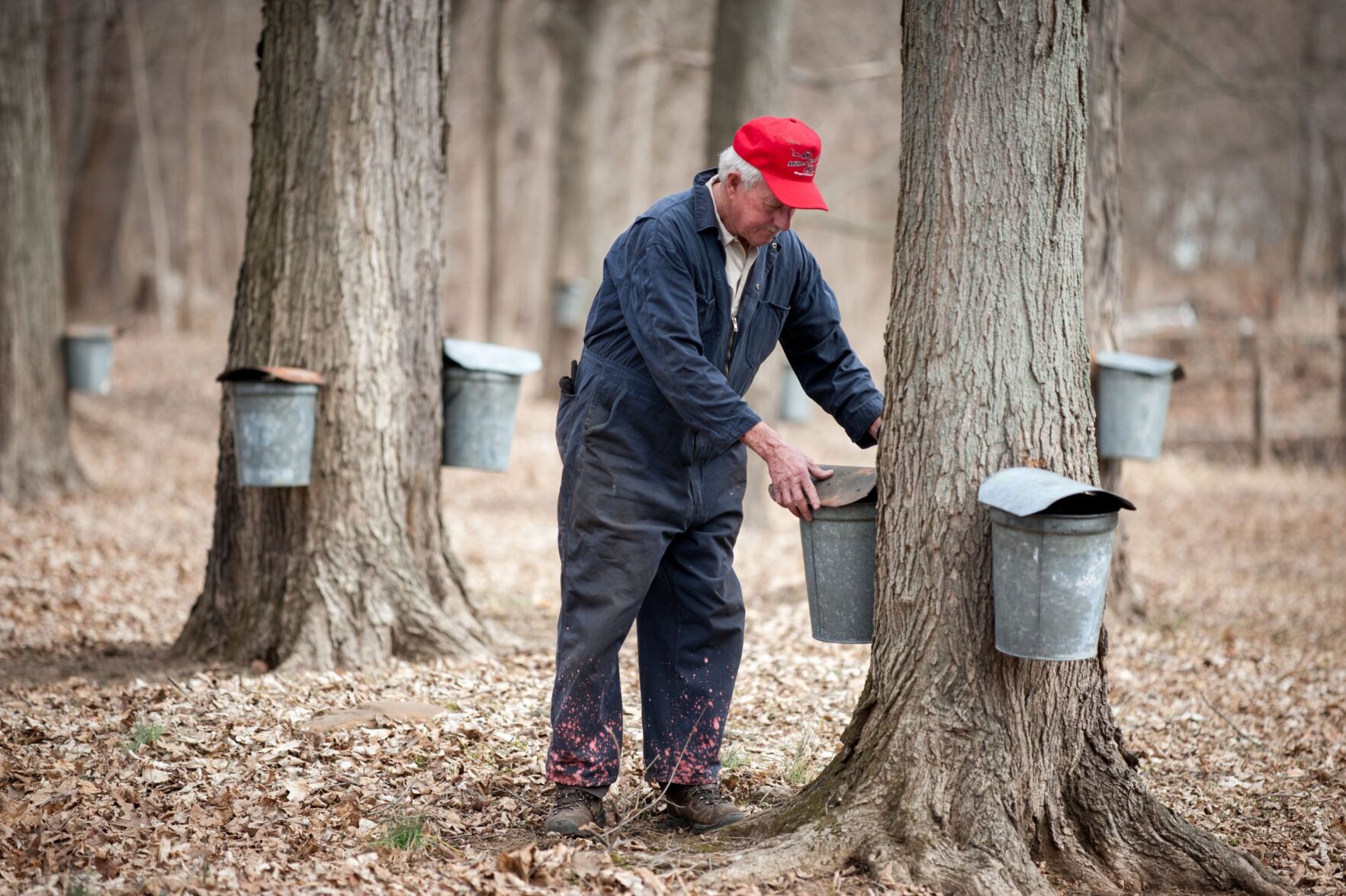 Leo shinholt – S & S Maple campCorriganville MD