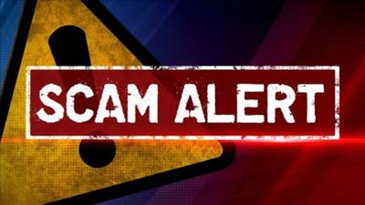 Seaford Police Issue Scam Alert