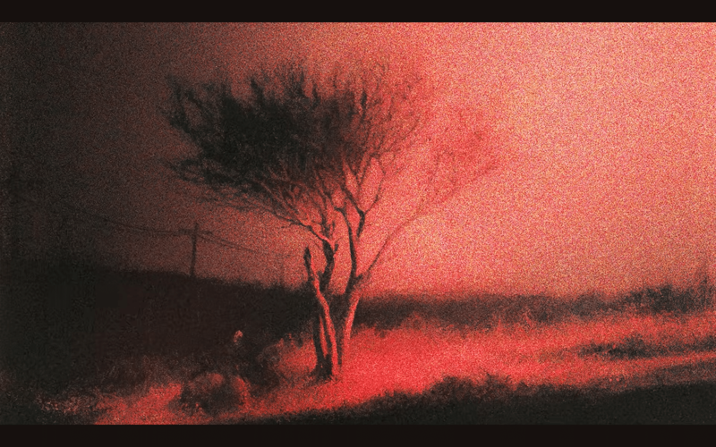 Piss in the Wind1