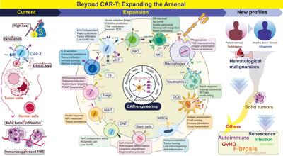 CAR therapy moves beyond cancer