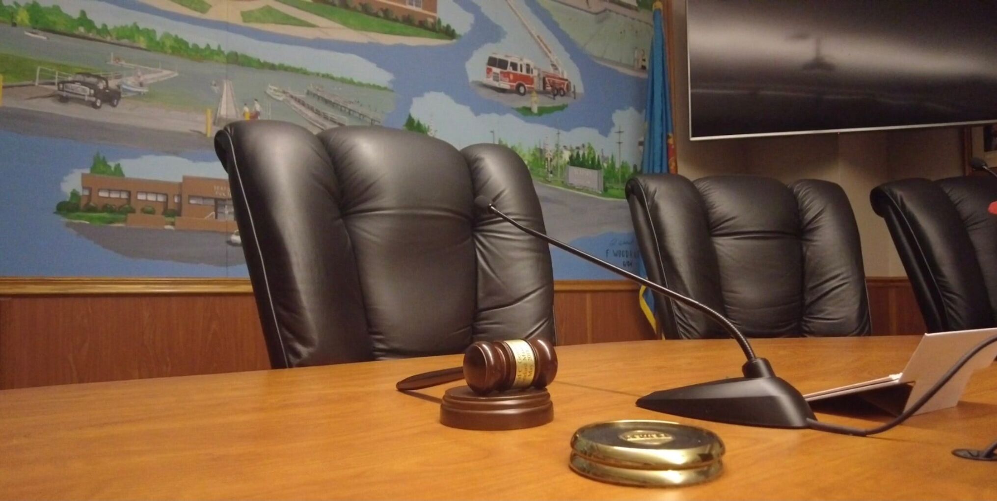 Seaford City Council