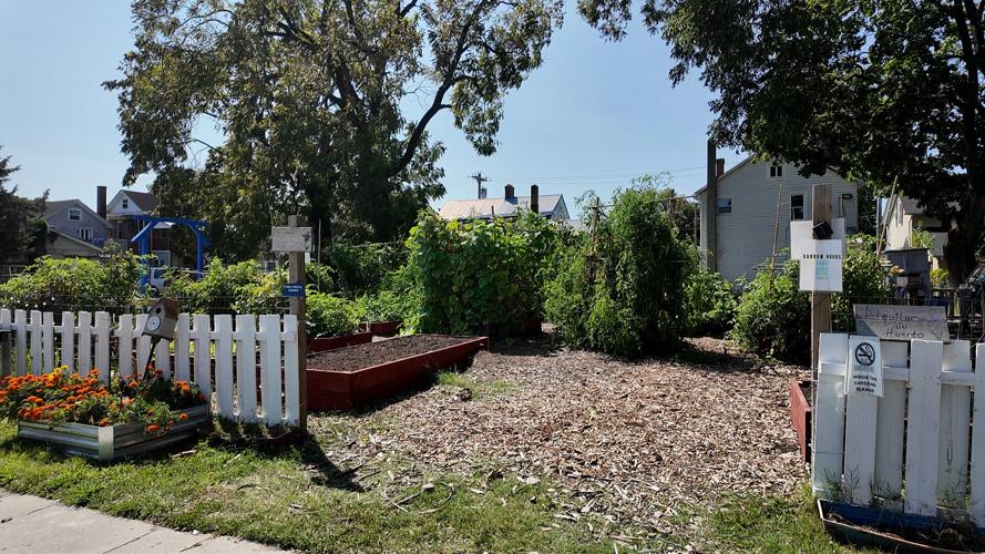 Community Rental Garden