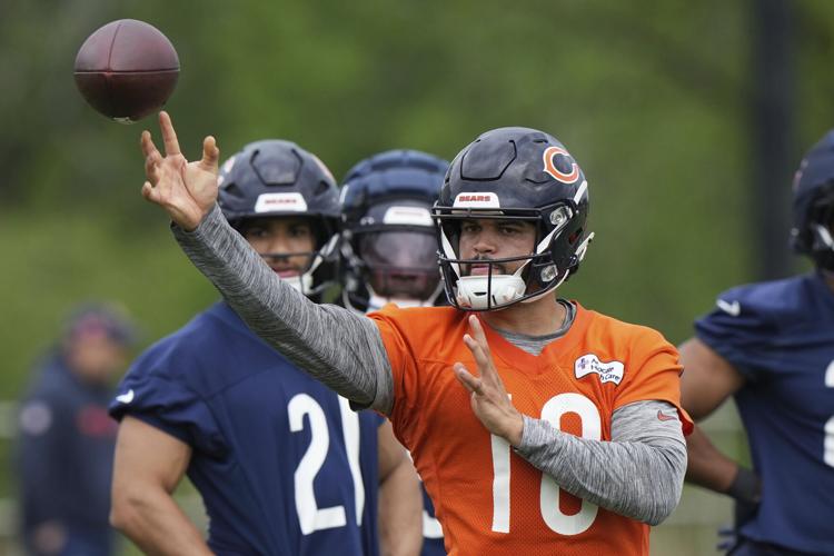 Bears Football