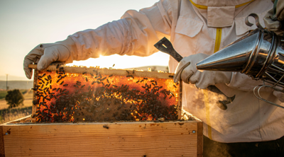 Bedford Honey Farm Adds Custom Labels for Weddings
