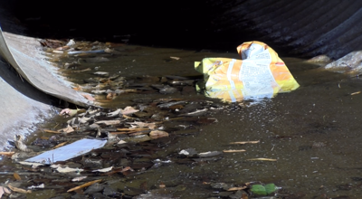 Litter causes backups in Crisfield