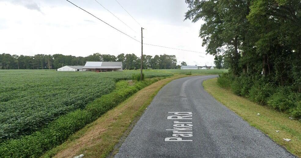 DSP Investigating Deadly Single-Vehicle Crash in Sussex County - Vimarsana News