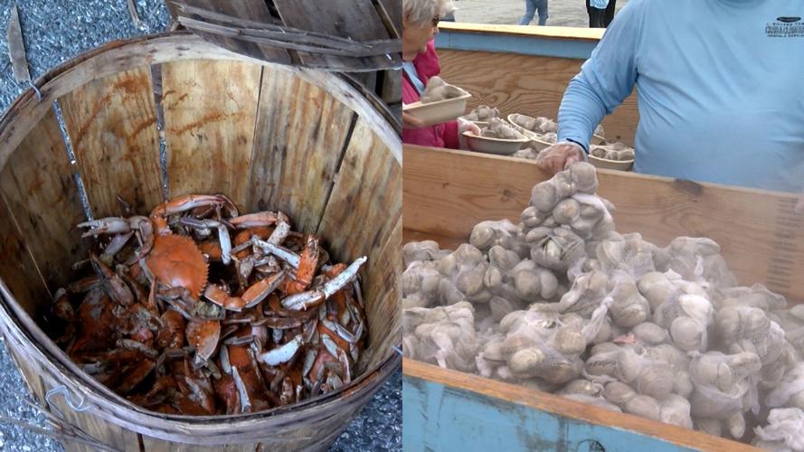 Steamed crabs in a basket are shown alongside bags of fresh, steaming hot clams.