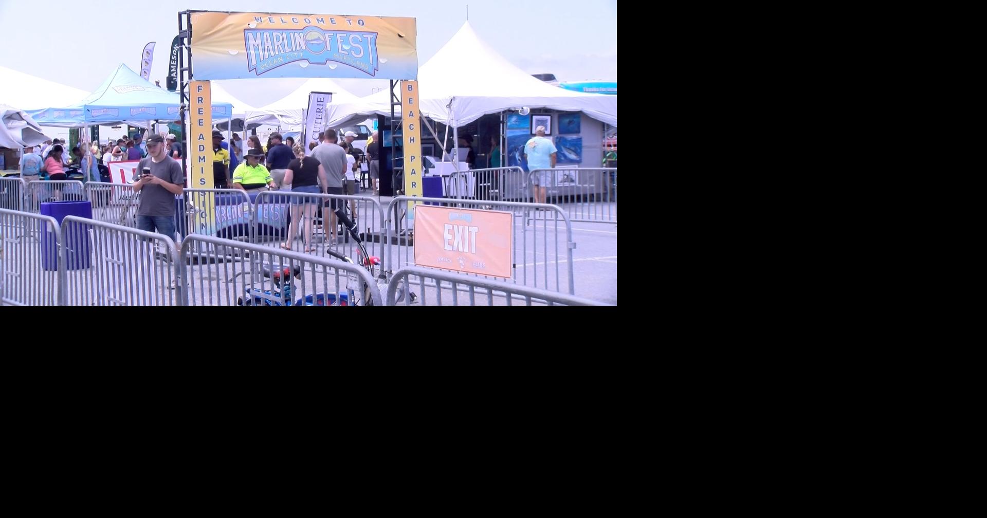 Excitement Fills the Air as Ocean City Welcomes White Marlin Open for