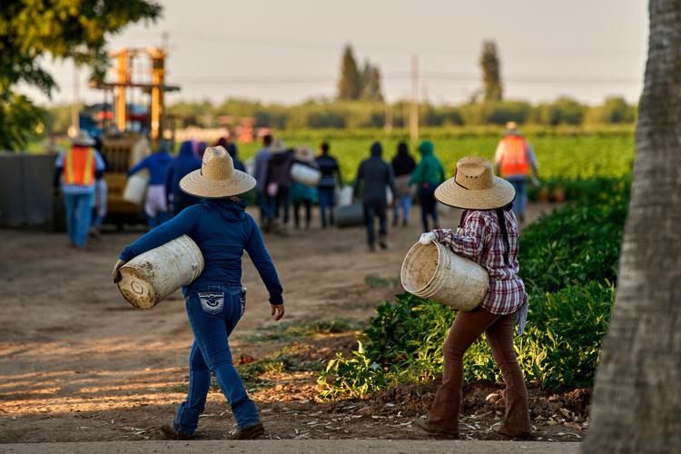 Chavez Women Farmworkers