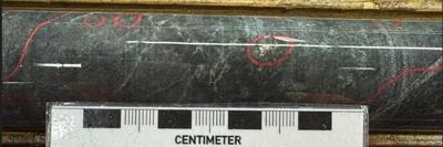 West Red Lake Gold Reports 215.46 g/t Au over 5.35m, 50.34 g/t Au over 4.05m and 61.70 g/t Au over 3m in Austin 904 Complex – Madsen Mine