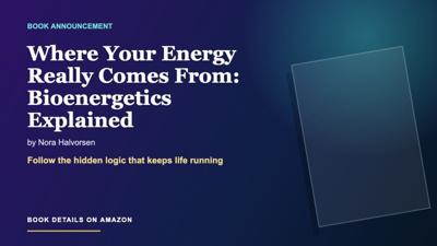 Cellular respiration explained simply: why bioenergetics matters in everyday life