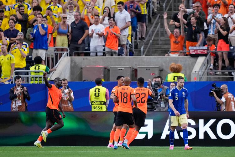 Sweden Netherlands WCup Soccer