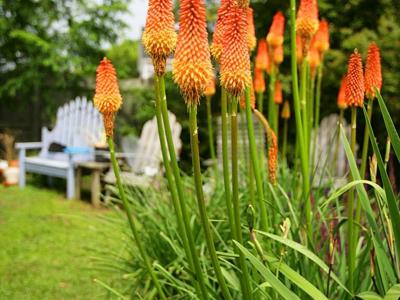 Lewes-DE-Garden-Tour