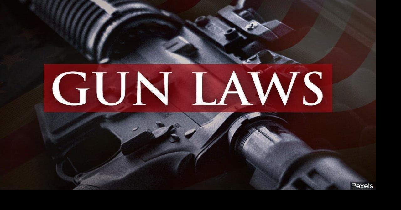 Democrats Eye Host of Gun-control Blls in Delaware