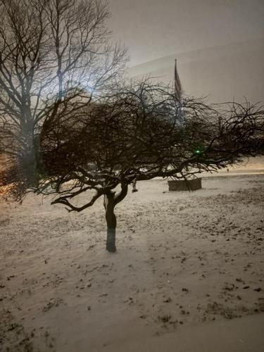 Alexis Carter Walters Dover.jpg