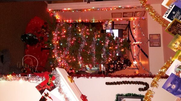 trotman-family-christmas-trees-milford