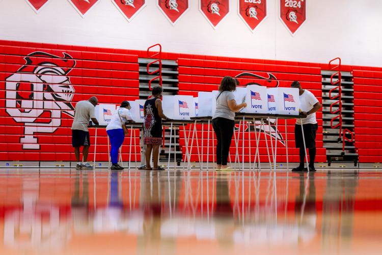 Michigan Democrats choose between two visions for their party with Senate seat on the line, in photos