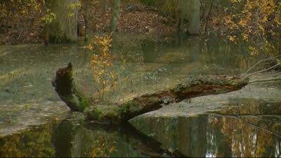 Travels With Charlie: Leave It To Beaver