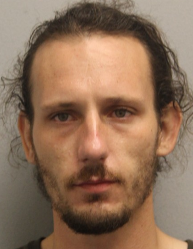 Rodenbaugh_dsp ARREST.png