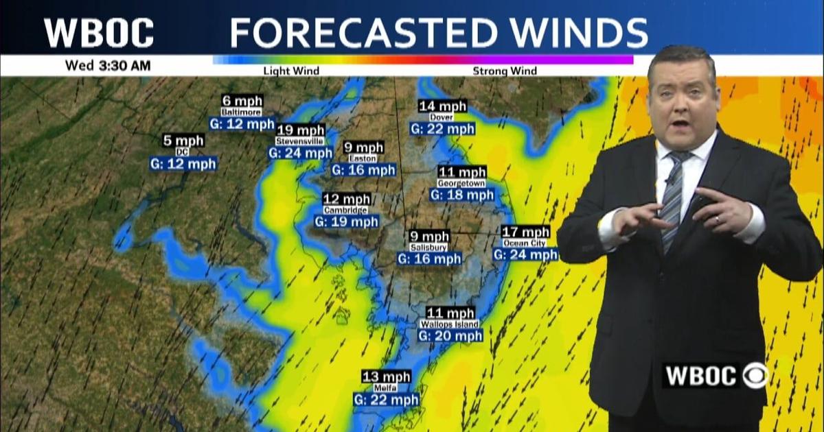 WBOC Weather November 12 2024 | WBOC Weather | wboc.com