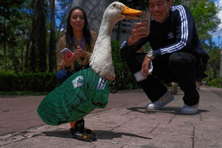 Mexico WCup Mascot