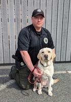 Worcester County Sheriff’s Office Welcomes Newest K9
