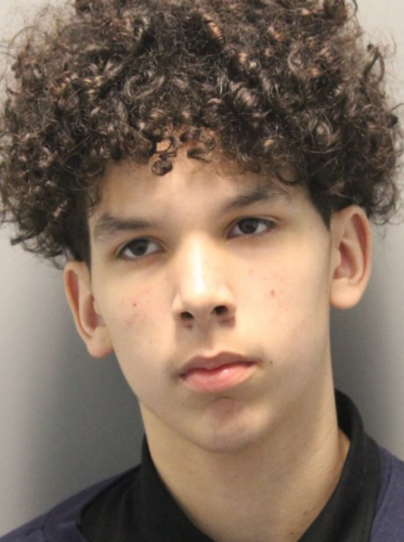 14-year-old Angelo Rodriguez of Millsboro