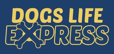 Dogs Life Express Makes Online Pet Shopping Simpler and More Reliable for Dog Owners of Every Background