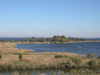 Study Points to Dam as Main Source of Bay Pollution