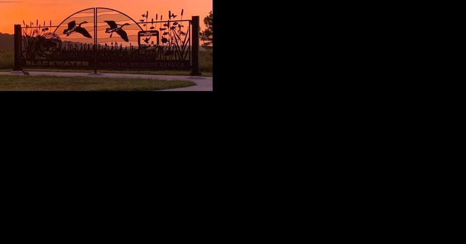 What a Federal Government Shutdown Means for Delmarva - Vimarsana News