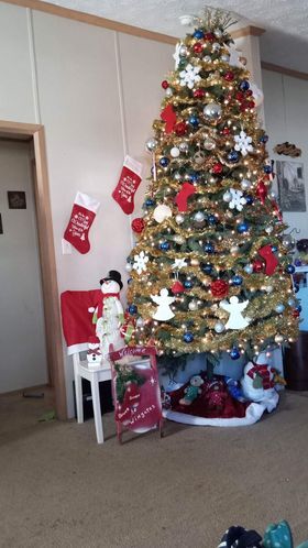 Bruce and Doreen Wingate's tree in Bridgeville, Del.