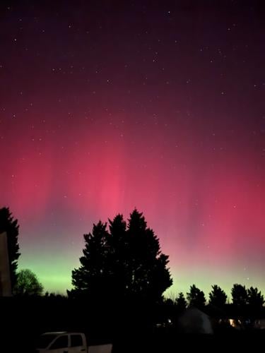 Tim Campbell Henderson.jpeg