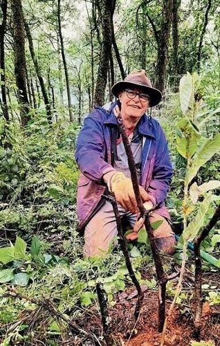 China Today: A Belgian Diplomat's Sustainability Odyssey in China